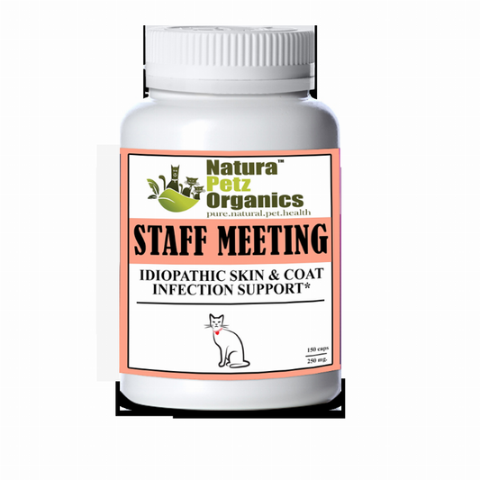 Staff Meeting* Idiopathic Skin & Coat Infection* Support For Dogs And Cats*