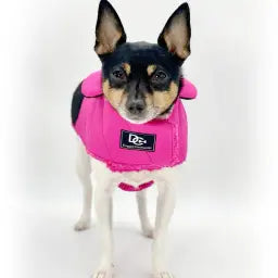 DoggieCoutureNY Water Resistant Coat