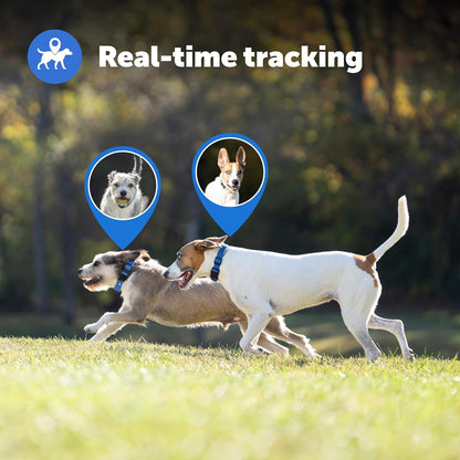 PetSafe Guardian GPS + Tracking Dog Fence Collar – Wireless Dog Fence with Real-Time Tracking