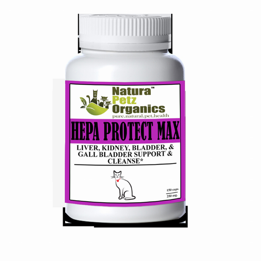 Hepa Protect Max Capsules - Liver, Kidney, Bladder & Gall Bladder Support & Cleanse*