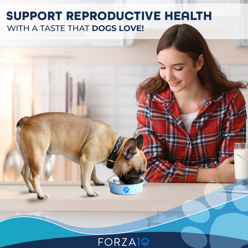 Forza10 Active Reproductive Female Diet Dry Dog Food