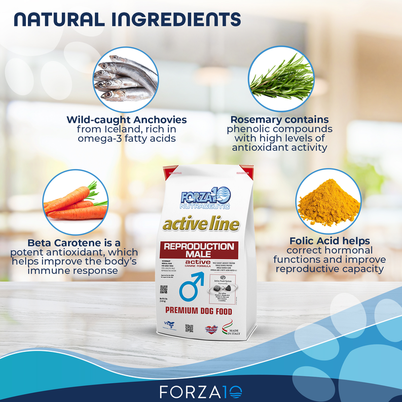 Forza10 Active Reproductive Male Diet Dry Dog Food