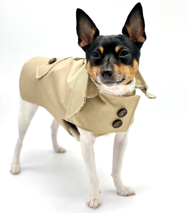 DoggieCoutureNY Classic Trench Coat
