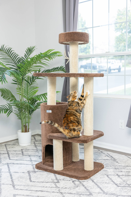 Real Wood 3-Level Carpeted Cat Tree Condo, Kitten Climber
