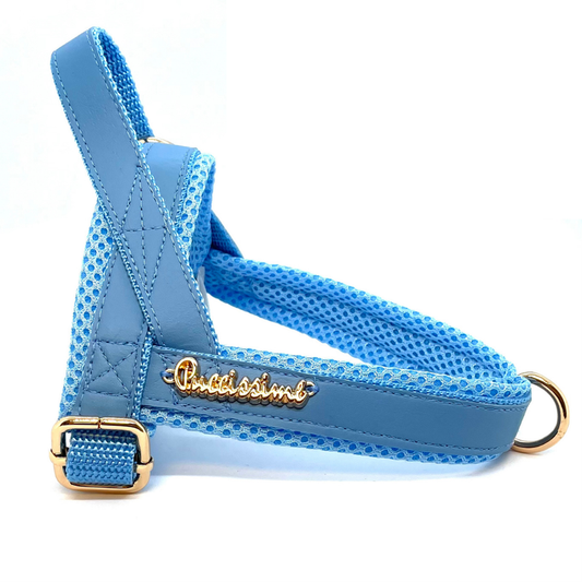 Maya Blue One-click harness