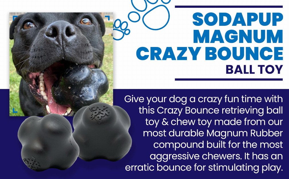Magnum Crazy Bounce Ultra Durable Rubber Chew & Retrieving Toy
